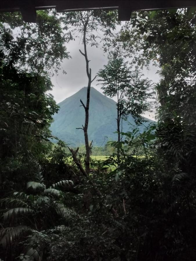 La fortuna natural green Esterno foto