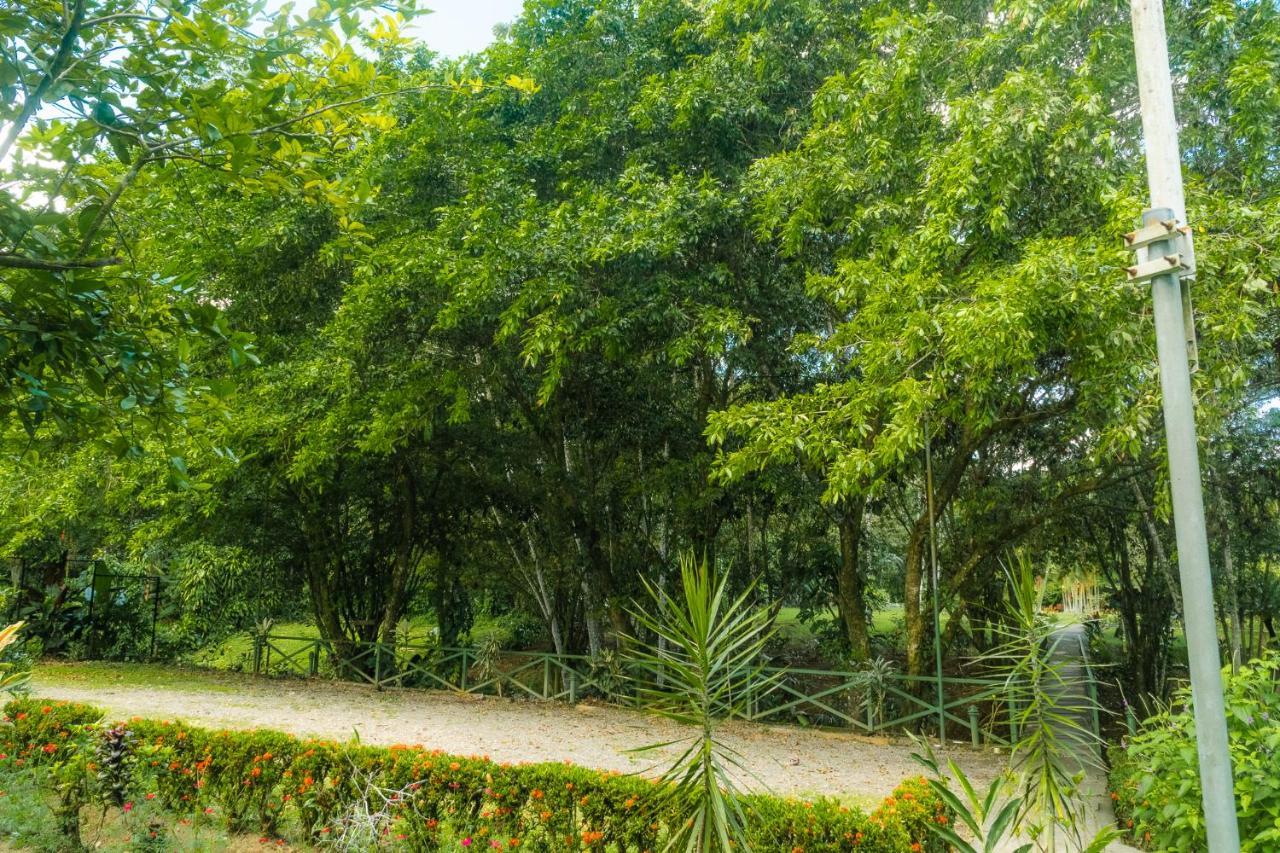 La fortuna natural green Esterno foto